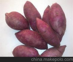 大理州紫薯種植基地銷售廠家價(jià)格供應(yīng)商詳解——冠縣樂(lè)農(nóng)紫薯種植專業(yè)合作社