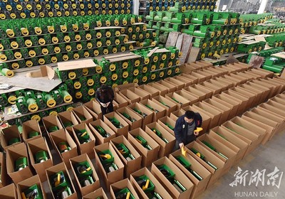 備戰(zhàn)雙十一，薯類產(chǎn)品銷售攻略